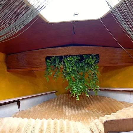 Cosy Sailboat